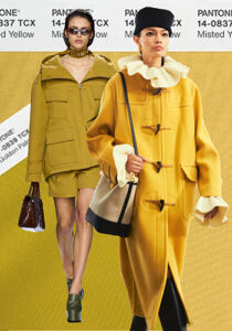 Trendfarbe Herbst/Winter 2024-25: Gelb